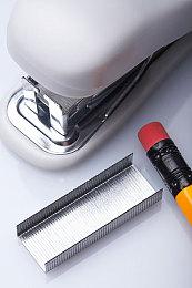 类宝可梦游戏《TEMTEM》大更新上线 新地图新生物